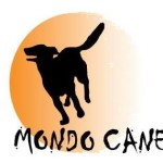 Mondo Cane – oddział Jelenia Góra